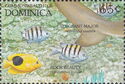 Fishes (See description)