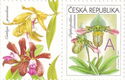 Greeting-Stamp Motif - Orchids - A