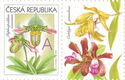 Greeting-Stamp Motif - Orchids - A