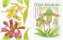 Greeting-Stamp Motif - Orchids - A