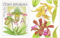Greeting-Stamp Motif - Orchids - A