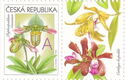 Greeting-Stamp Motif - Orchids - A
