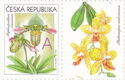 Greeting-Stamp Motif - Orchids - A