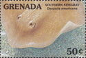 Southern stingray