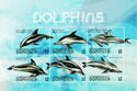 Dolphins