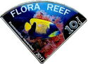10 Dollars (Flora Reef, Blue-girdled angelfish)