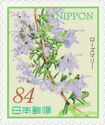 Rosemary (Salvia rosmarinus)