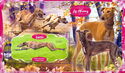Dogs Greyhound
