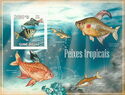 Tropical Fishes