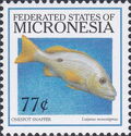 Onespot Snapper (Lutjanus monostigmus)