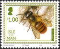 Red Mason Bee (Osmia rufa)