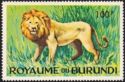Lion (Panthera leo)