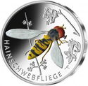 5 Euro (Hainschwebfliege / Grove Hoverfly)