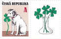 Dog with four-leaf clover