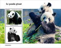 Giant Panda