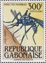 Yellow Fever Mosquito (Aedes aegypti)
