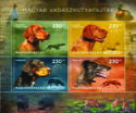 Hunting Dog Breeds