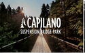 Capilano Suspension Bridge Park