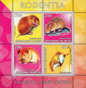 Fauna from Around the World Rodentia
