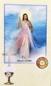 "Jesus - Divine Mercy"