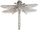 500 CFA Francs (3D Dragonfly)