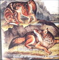 Animals of the World by John James Audubon