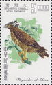 Crested Serpent Eagle (Spilornis cheela hoya) 