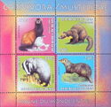 Fauna from Around the World Mustelidae