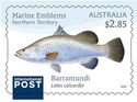 Barramundi (Lates calcarifer)