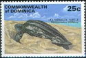 Leatherback Sea Turtle (Dermochelys coriacea)