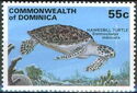 Hawksbill Turtle (Eretmochelys imbricata)