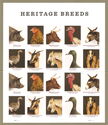 Heritage Breeds