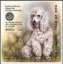 Year of Dog (Standard Poodle)