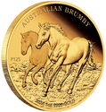 100 Dollars (Australian Brumby)