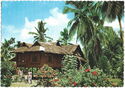 Typical Nipa Hut in a Pilipino Farm.