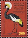 Black Crowned Crane (Balearica pavonina)