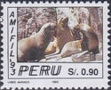 South American Fur Seal (Arctocephalus australis)