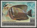 Sailfin Tang (Zebrasoma veliferum) - Surcharged