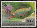Harlequin Filefish (Oxymonacanthus longirostris)- Surcharged