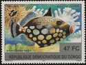 Clown Triggerfish (Balistoides niger) - Surcharged