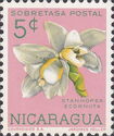 Stanhopea ecornuta