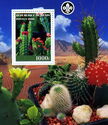Cactus Cacti