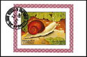 Vineyard Snail (Helix pomatia)