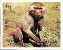 Baboon