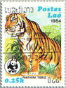 Tiger (Panthera tigris) Surcharged