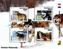 Dogs Alaskan Malamutes