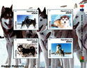 Dogs Alaskan Malamutes