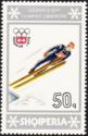 Ski Jumping