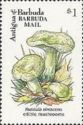 Russula virescens - Overprinted