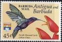 Purple-throated Carib and Lobster Claws - Overprinted